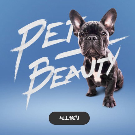 杨浦宠物中心小程序开发